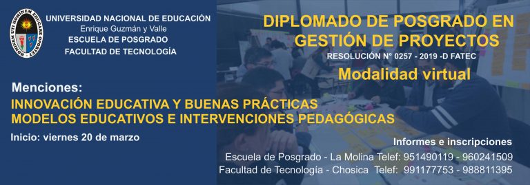 Diplomado En Gestión De Proyectos